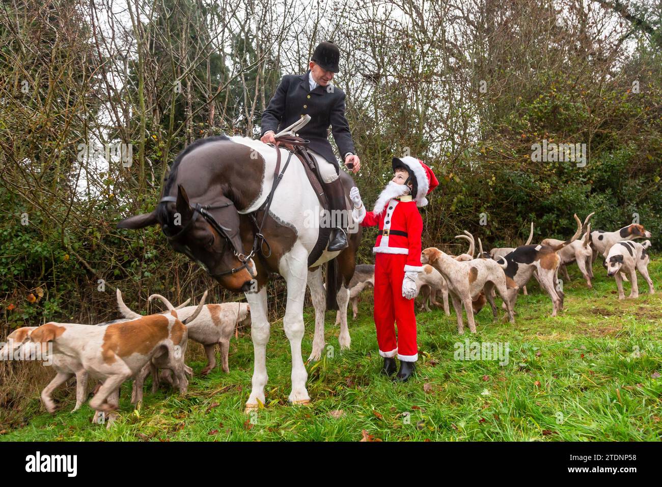Upper Arley, Kidderminster, Worcestershire, Regno Unito. 19 dicembre 2023. Henley Mills di 10 anni, vestito da Babbo Natale, consegna il tradizionale bicchiere di porto al Maestro dei Foxhounds durante la caccia ad Albrighton e Woodland, mentre fanno un giro sul prato da una fattoria nell'Upper Arley, vicino a Kidderminster, nel Worcestershire. Crediti: Peter Lopeman/Alamy Live News Foto Stock