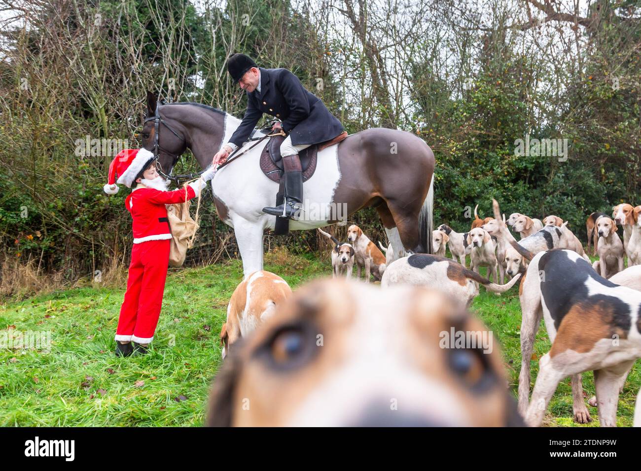 Upper Arley, Kidderminster, Worcestershire, Regno Unito. 19 dicembre 2023. Henley Mills di 10 anni, vestito da Babbo Natale, consegna una barretta di cioccolato al Maestro dei Foxhounds della caccia ad Albrighton e Woodland mentre fa un giro sul prato da una fattoria nell'Upper Arley, vicino a Kidderminster, nel Worcestershire. Crediti: Peter Lopeman/Alamy Live News Foto Stock
