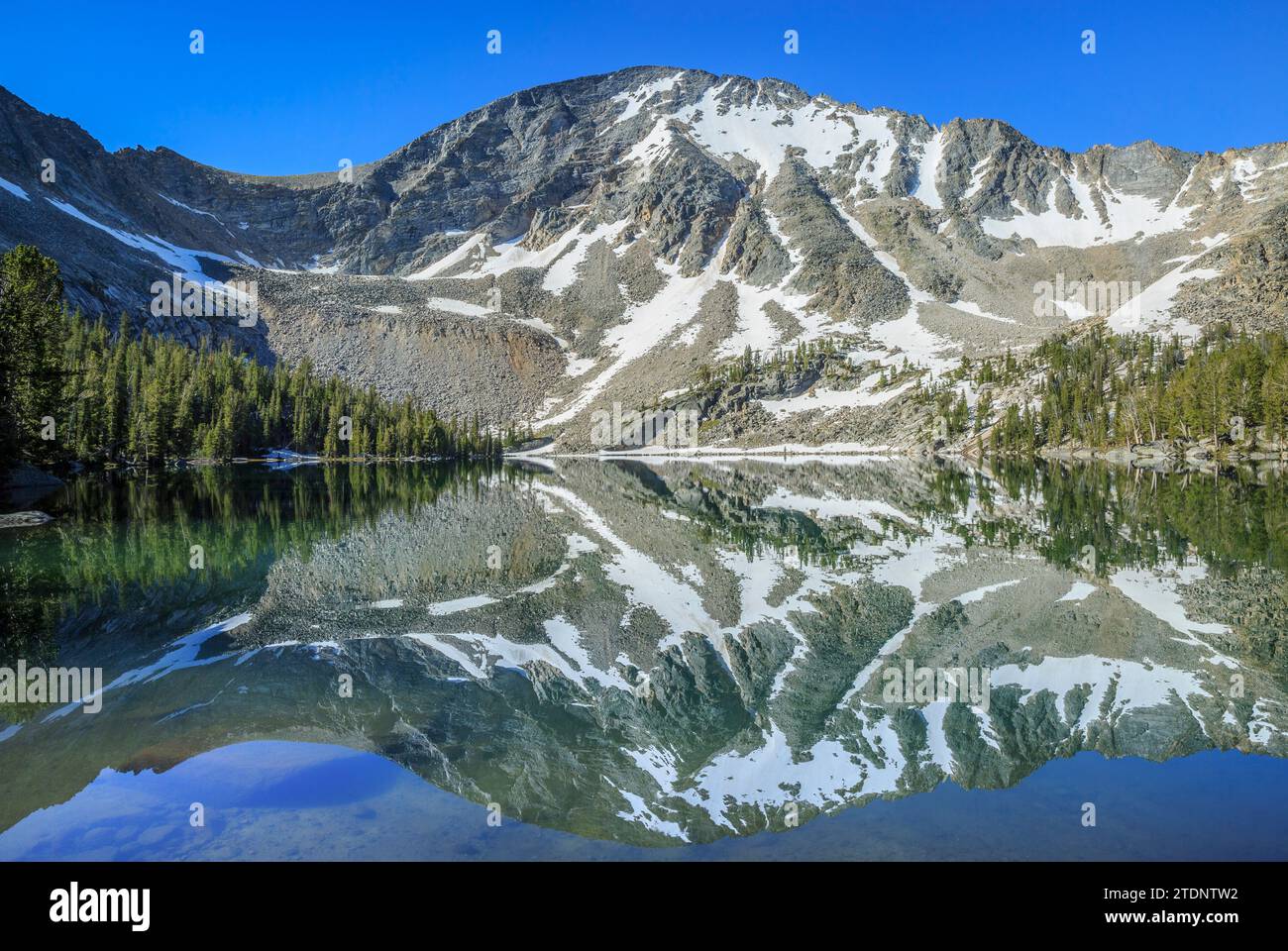 la montagna di torrey si riflette nel lago di torrey nelle montagne pioniere vicino a polaris, montana Foto Stock