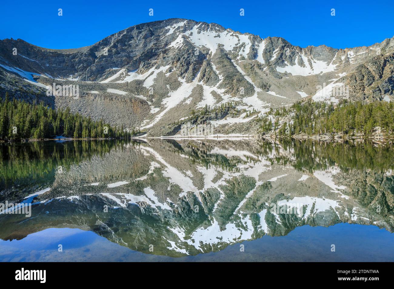 la montagna di torrey si riflette nel lago di torrey nelle montagne pioniere vicino a polaris, montana Foto Stock