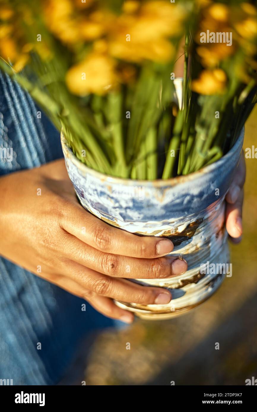 Mani di artigiani che tengono in ceramica, messa a fuoco selettiva Foto Stock