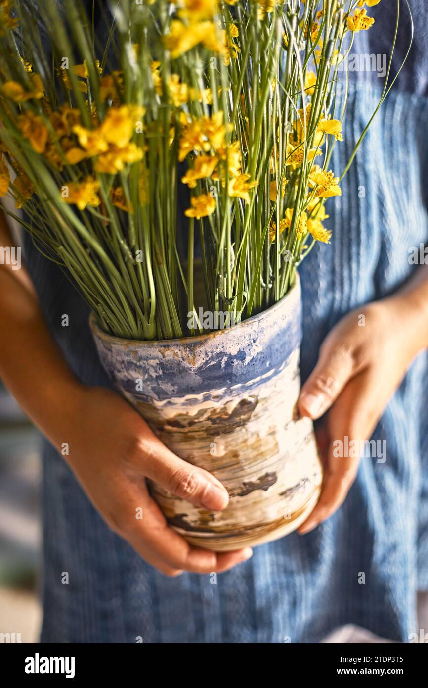 Mani di artigiani che tengono in ceramica, messa a fuoco selettiva Foto Stock