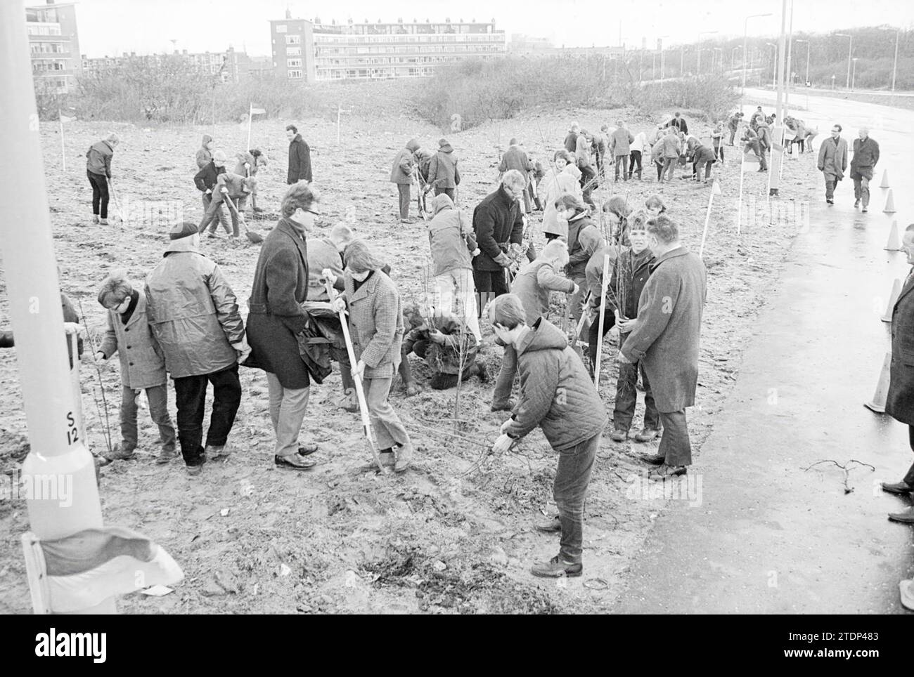 Piantare un albero, Velsen, Trees, 03-04-1968, Whizgle News from the Past, su misura per il futuro. Esplora le narrazioni storiche, l'immagine dell'agenzia olandese olandese con una prospettiva moderna, colmando il divario tra gli eventi di ieri e quelli di domani. Un viaggio senza tempo che delinea le storie che plasmano il nostro futuro Foto Stock