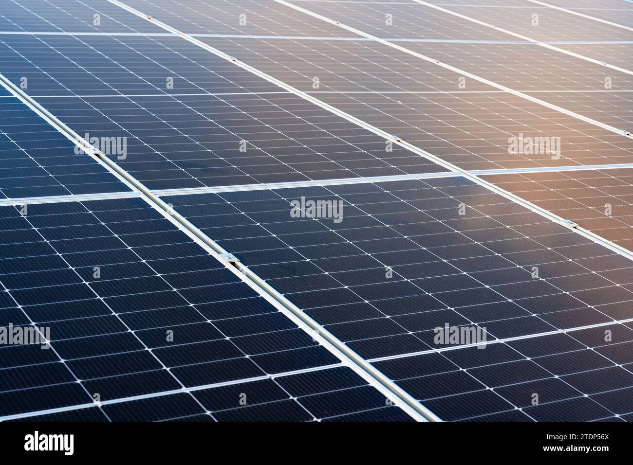 Pannello solare, tecnologia ecocompatibile fotovoltaica per celle solari, energia rinnovabile alternativa per il futuro. Concetto di risorse sostenibili nel mondo moderno Foto Stock