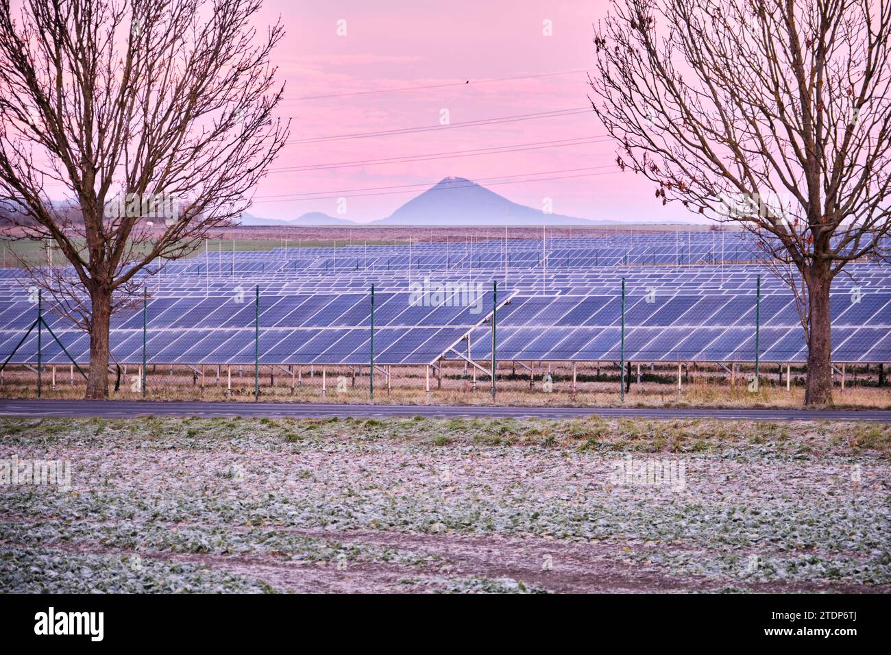 Parco della centrale di energia solare con pannelli oltre la recinzione a maglie di catena. Fonte di energia rinnovabile sovvenzionata sui terreni coltivabili. Europa. Repubblica Ceca. Inverno gelido Foto Stock