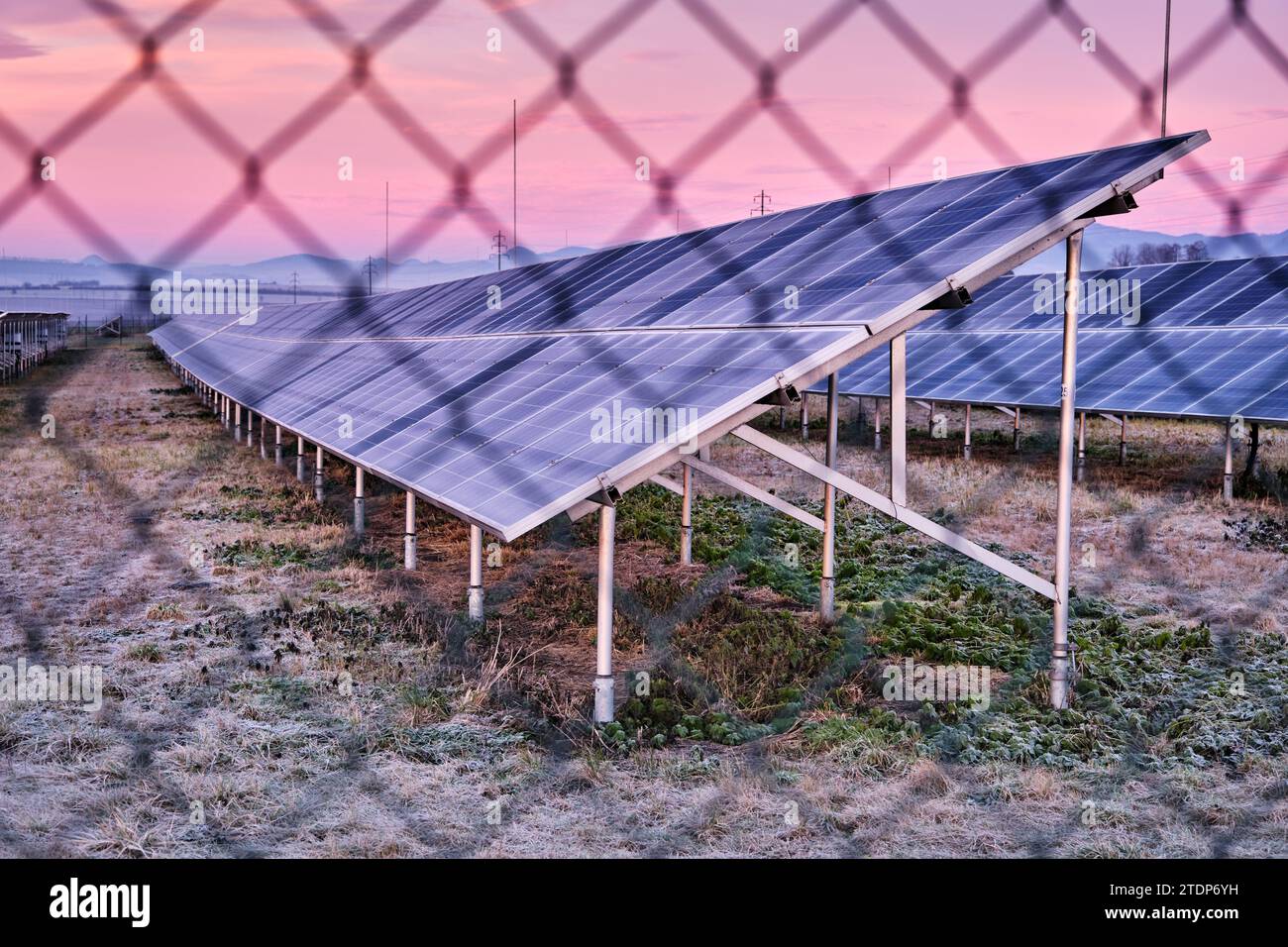 Parco della centrale di energia solare con pannelli oltre la recinzione a maglie di catena. Fonte di energia rinnovabile sovvenzionata sui terreni coltivabili. Europa. Repubblica Ceca. Inverno gelido Foto Stock