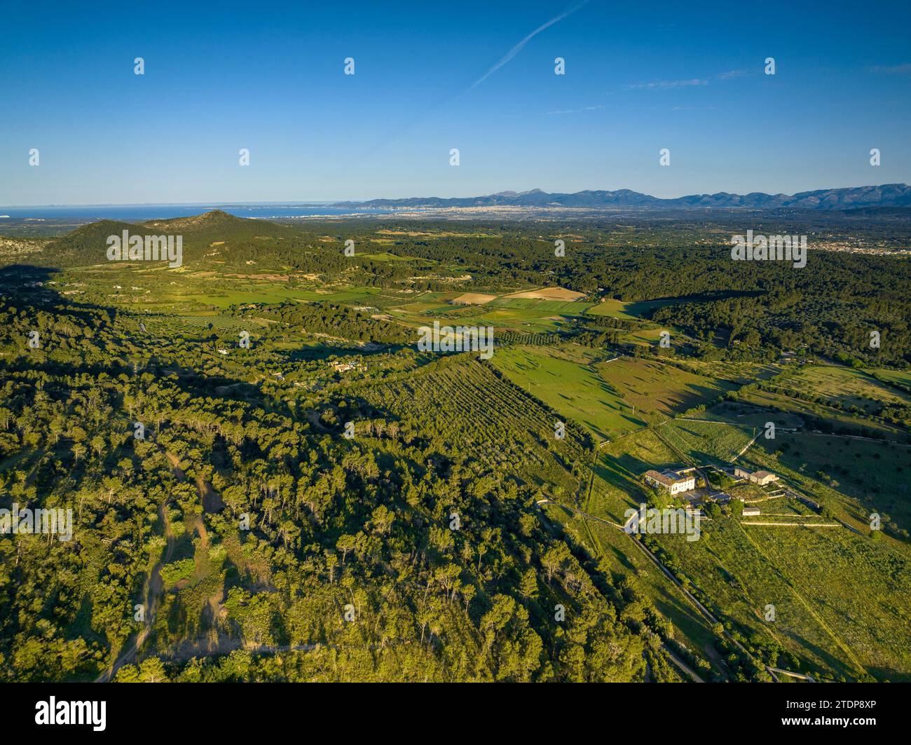 Vista aerea delle foreste e dei campi vicino alle città di Randa e Algaida in una mattina primaverile. Sullo sfondo, le montagne della Serra de Tramuntana Foto Stock