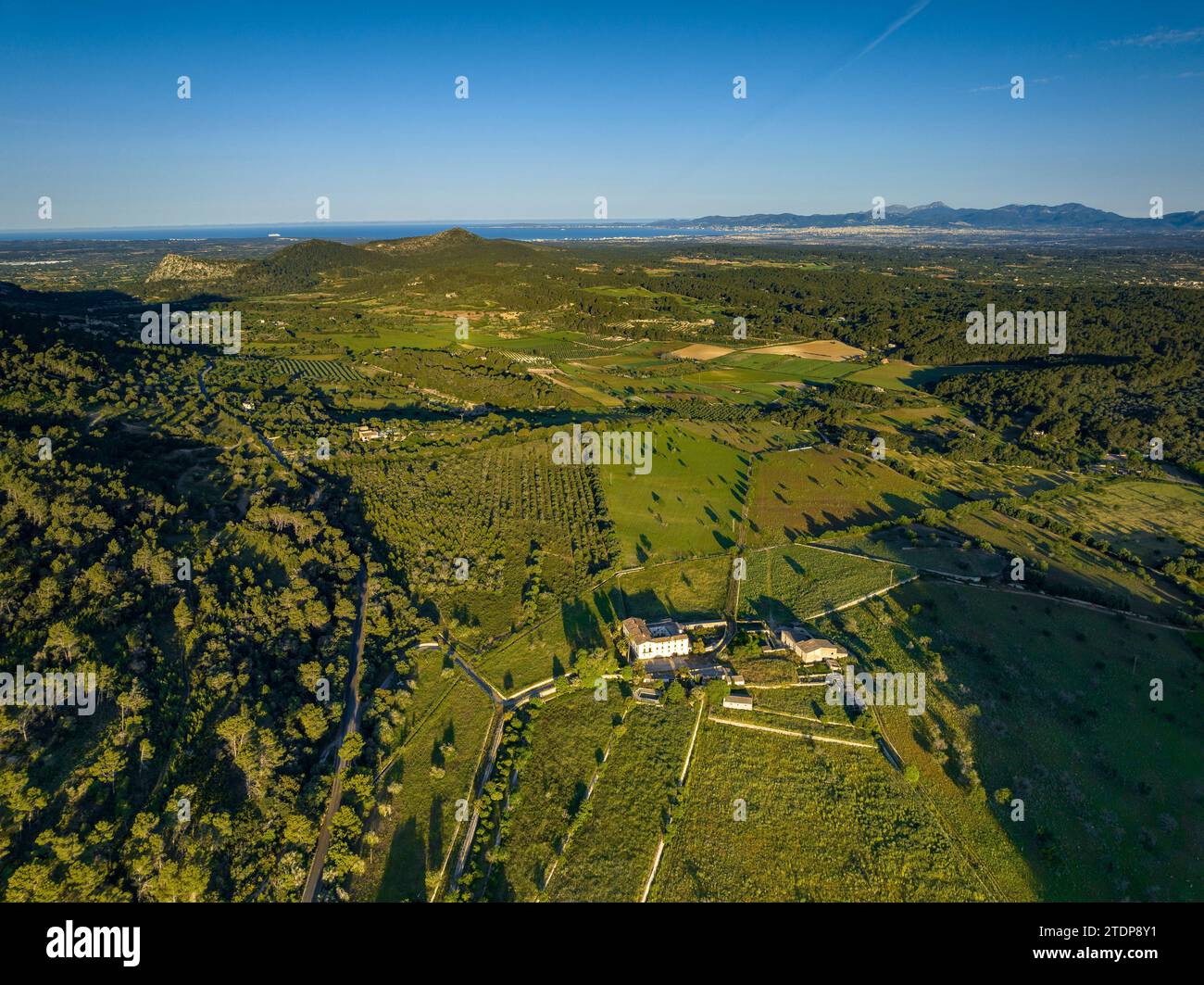 Vista aerea delle foreste e dei campi vicino alle città di Randa e Algaida in una mattina primaverile. Sullo sfondo, le montagne della Serra de Tramuntana Foto Stock