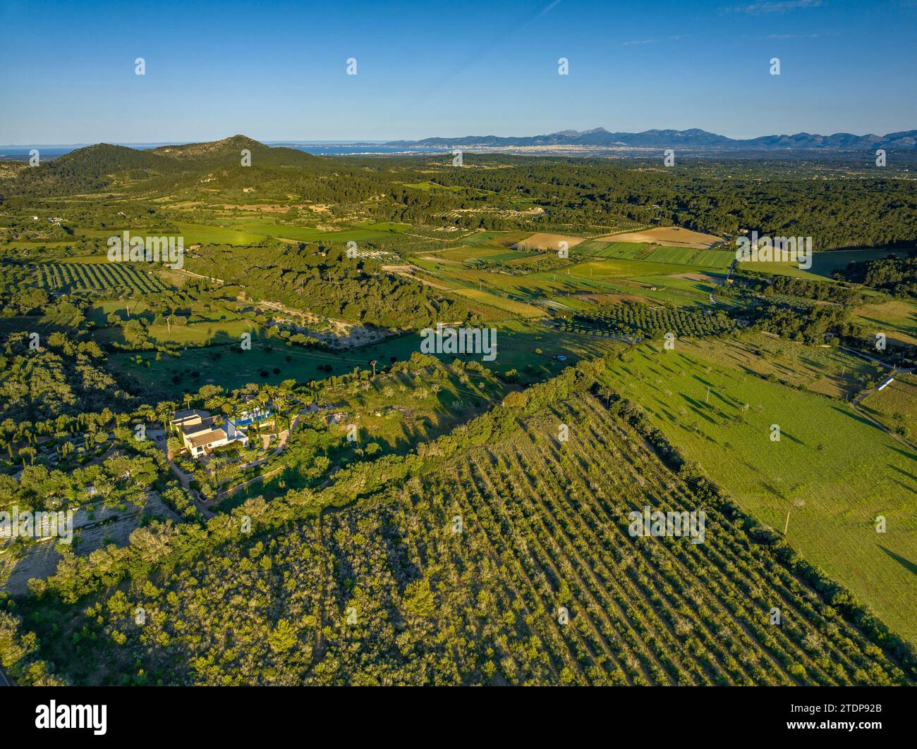 Vista aerea delle foreste e dei campi vicino alle città di Randa e Algaida in una mattina primaverile. Sullo sfondo, le montagne della Serra de Tramuntana Foto Stock