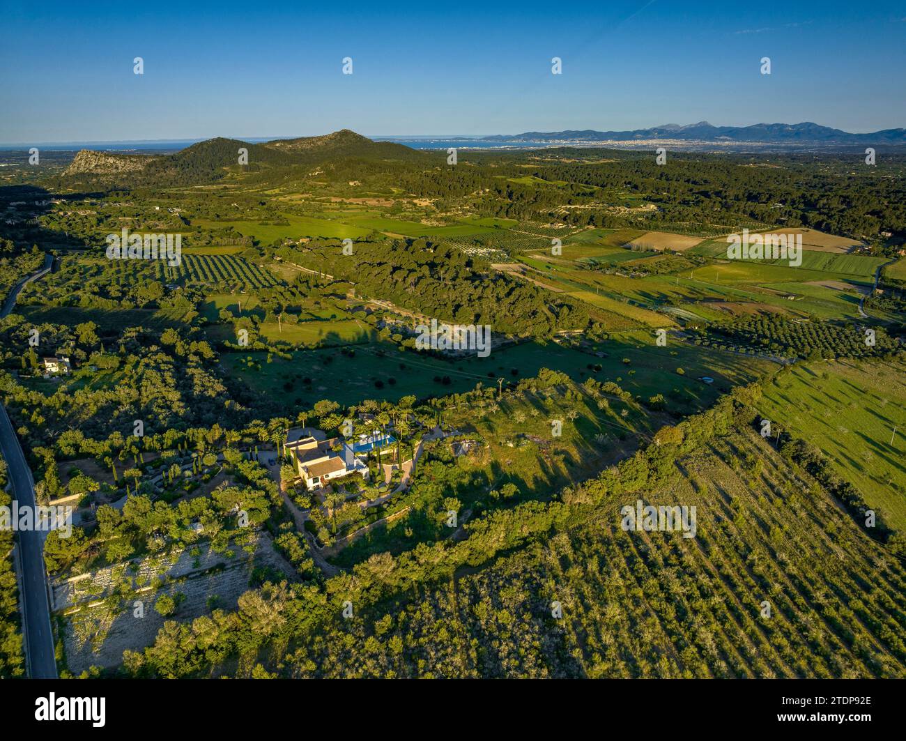 Vista aerea delle foreste e dei campi vicino alle città di Randa e Algaida in una mattina primaverile. Sullo sfondo, le montagne della Serra de Tramuntana Foto Stock