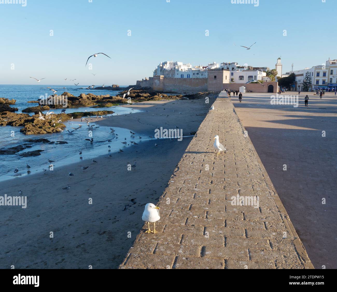 Spiaggia rocciosa con gabbiani e un muro con la medina nella città di Essaouira, Marocco. 19 dicembre 2023 Foto Stock