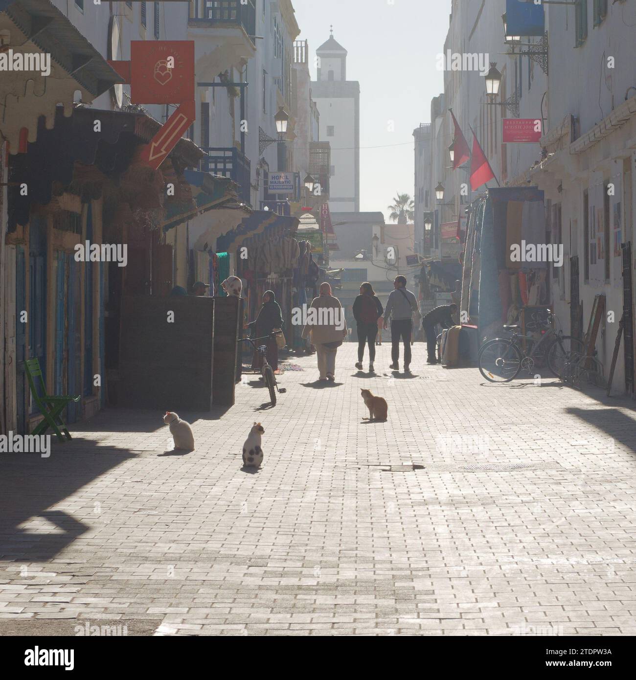 Persone e gatti bagnati dal sole in una strada nella medina con la torre dietro nella città di Essaouira, in Marocco. 19 dicembre 2023 Foto Stock