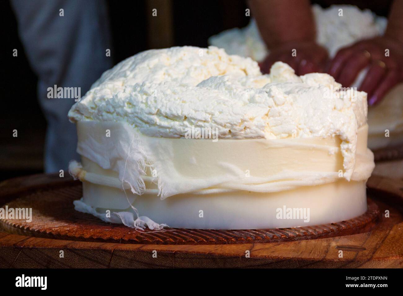 Produzione di formaggio a Gran Canaria, Spagna Foto Stock