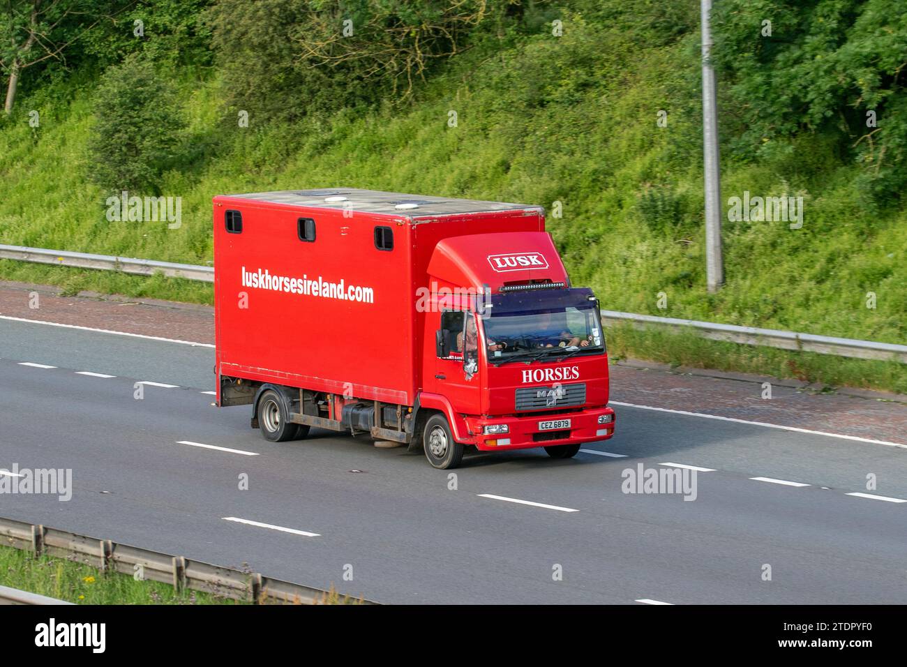 Lusk Horses Ireland Red Horses. Autocarro 2005 MAN Diesel da 4580 cc; in viaggio sull'autostrada M6 nel Regno Unito Foto Stock