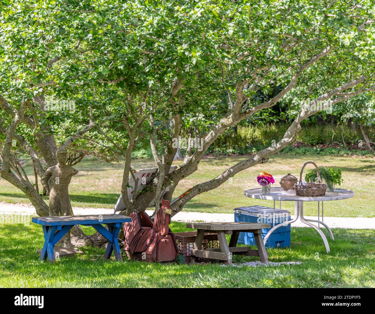 un semplice sistema d'onore si trova sul lato della strada Foto Stock
