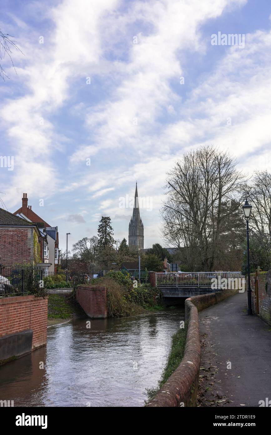 Vista verso la cattedrale di Salisbury attraverso il fiume Avon a Salisbury, Wiltshire, Inghilterra, Regno Unito Foto Stock Vista verso la cattedrale di Salisbury attraverso il fiume Avon a Salisbury, Wiltshire, Inghilterra, Regno Unito Foto Stock