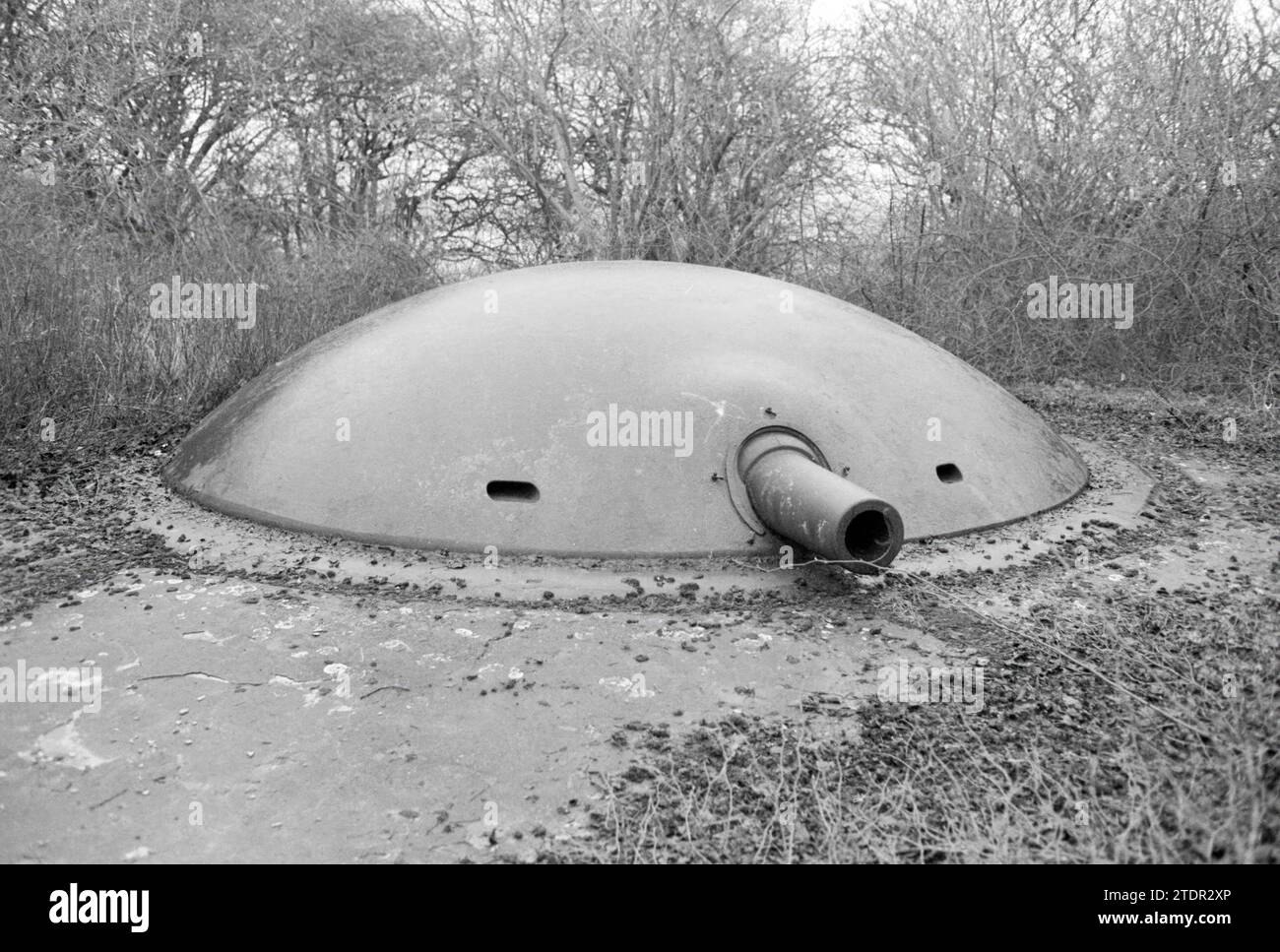 Demolizione parziale di Fort Velsen della linea di difesa di Amsterdam, Velsen, 08-01-1981, Whizgle News from the Past, su misura per il futuro. Esplora le narrazioni storiche, l'immagine dell'agenzia olandese olandese con una prospettiva moderna, colmando il divario tra gli eventi di ieri e quelli di domani. Un viaggio senza tempo che delinea le storie che plasmano il nostro futuro Foto Stock