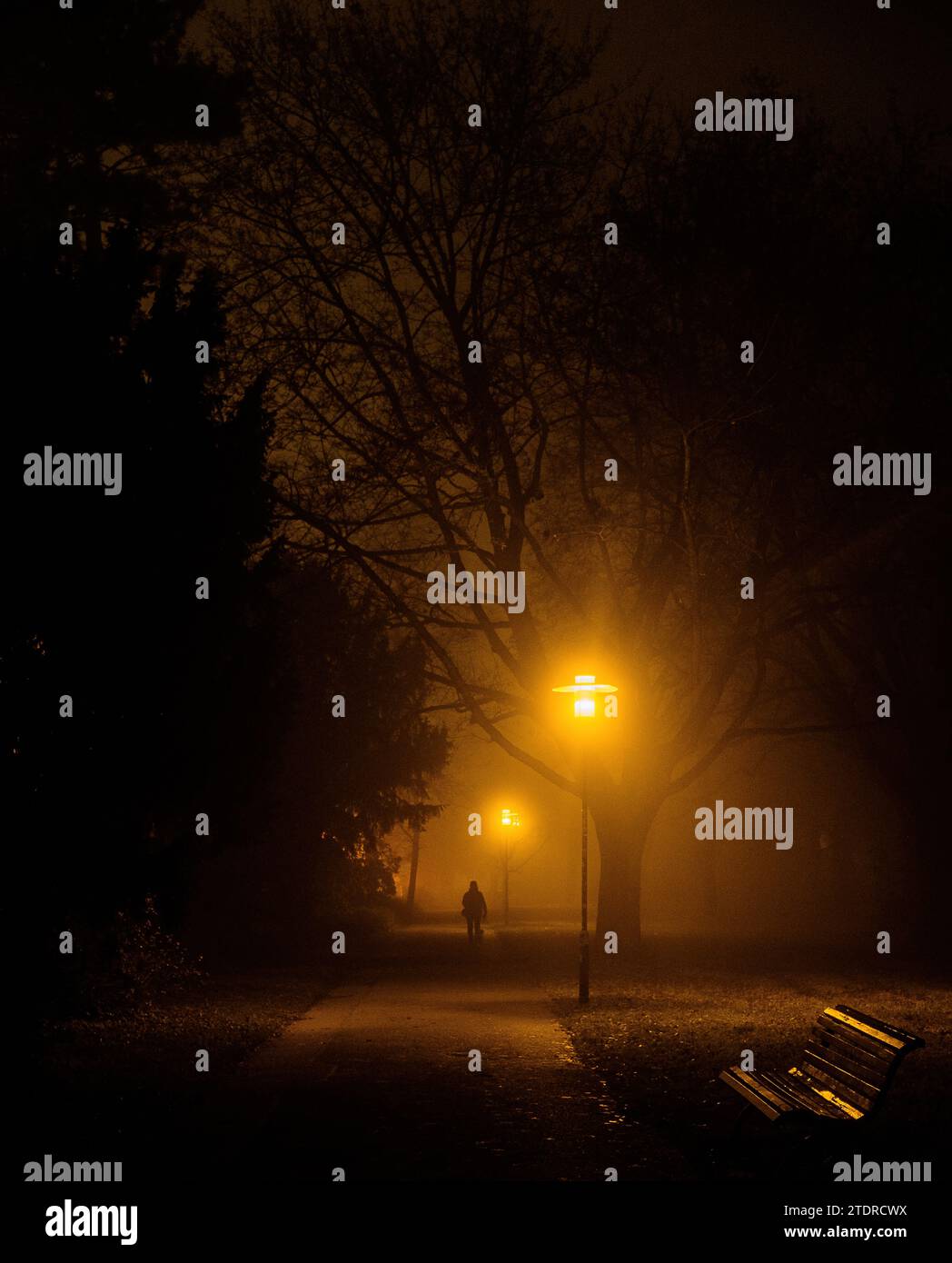 Camminando nel parco in una notte nebbiosa con luci calde Foto Stock