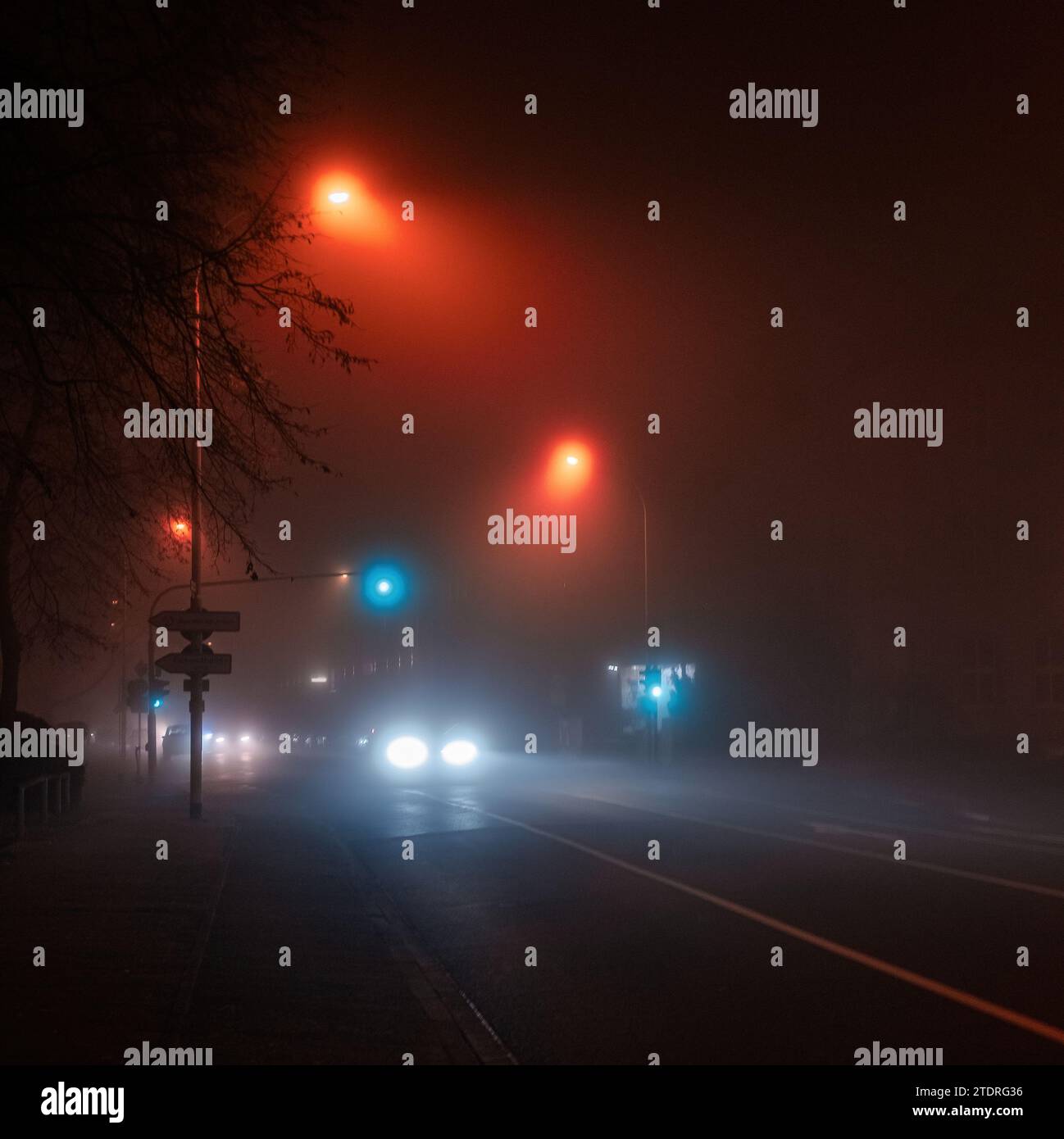 Luci di strada colorate in condizioni di nebbia durante l'inverno in Germania Foto Stock