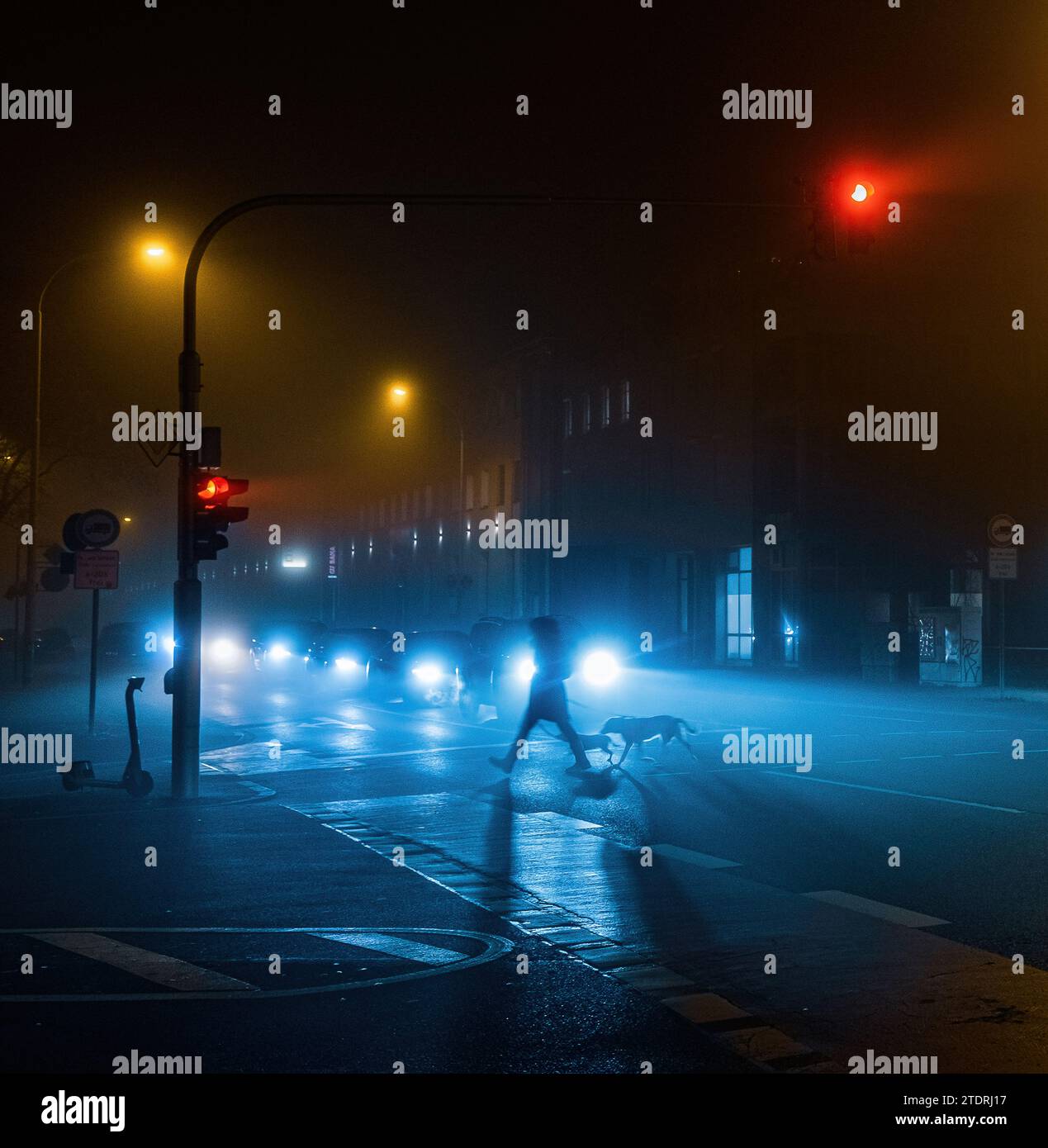 Una persona attraversa la strada con un cane in una notte nebbiosa con il flash dell'auto e l'illuminazione stradale Foto Stock