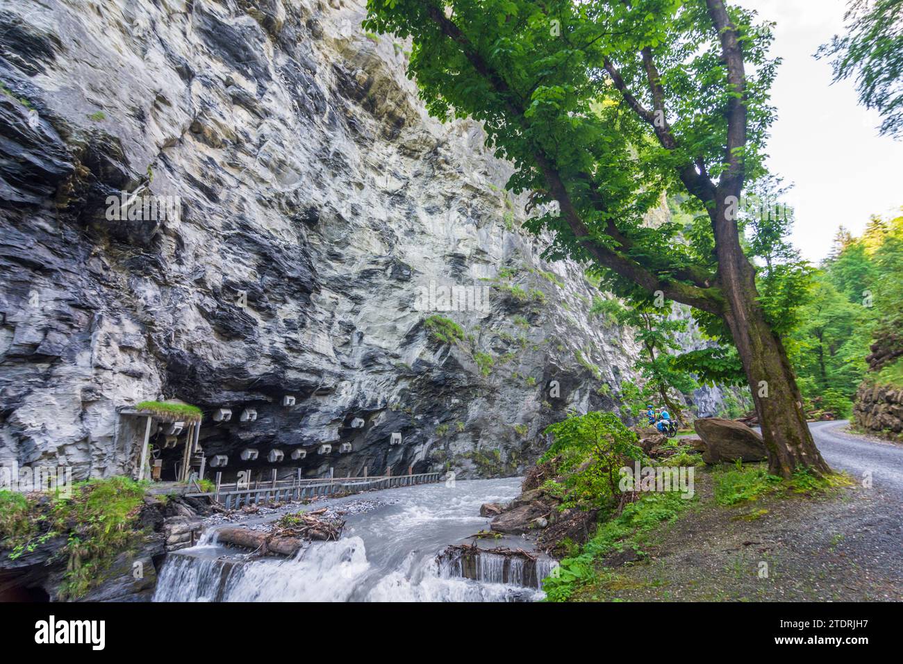 Bad Ragaz: Taminaschlucht (Gola di Tamina) nel Sarganserland, St Gallen, Svizzera Foto Stock