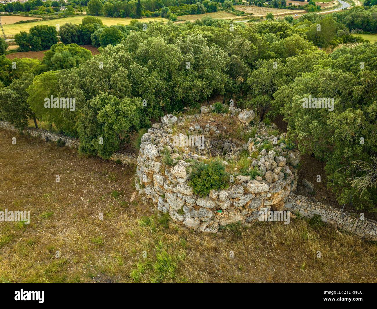 Vista aerea del Talaiot des Racons, a Llubí, con la sua caratteristica forma circolare (Maiorca, Isole Baleari, Spagna) Foto Stock