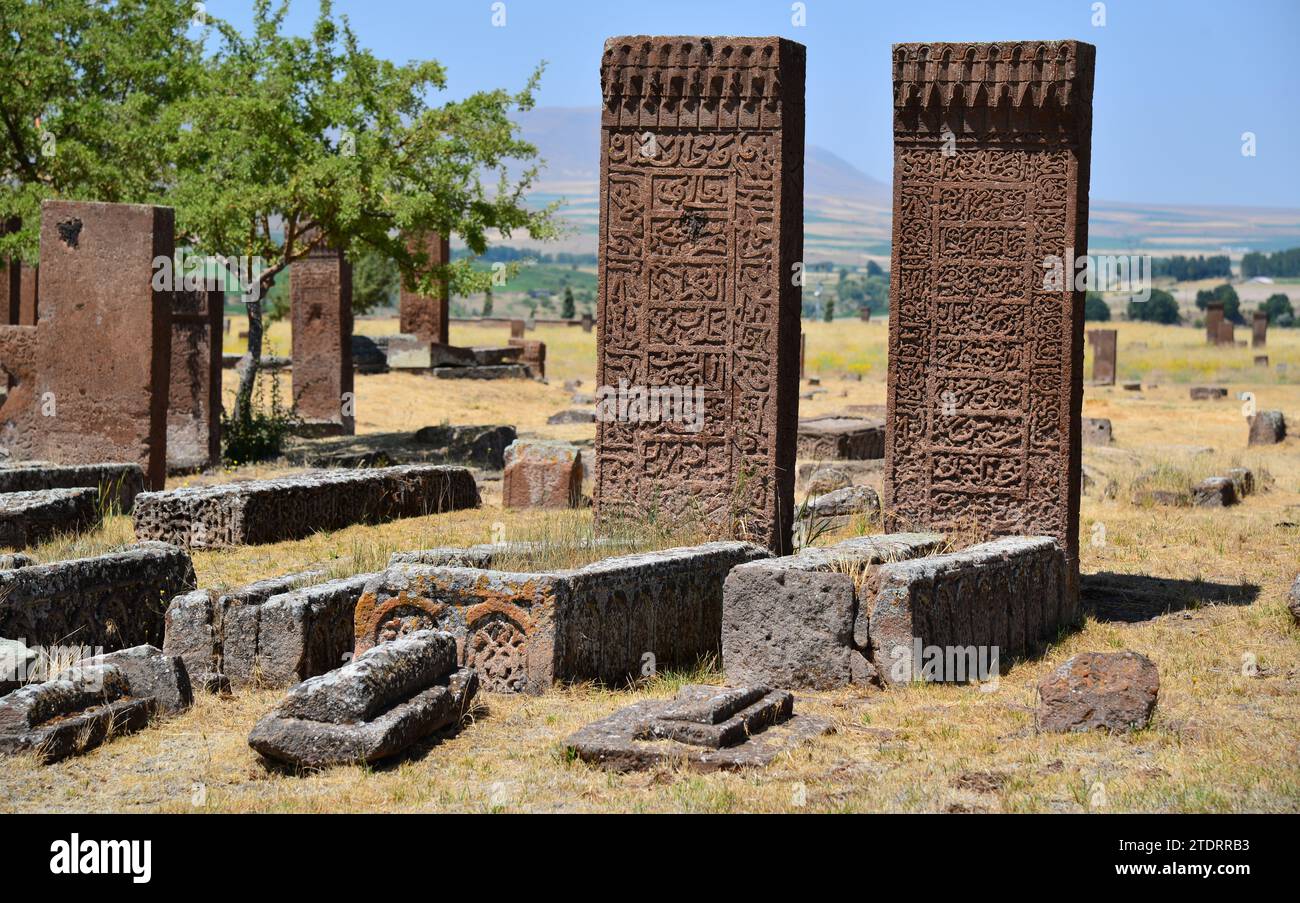 Cimitero di Ahlat Seljuk ad Ahlat, Bitlis, Turchia. Foto Stock