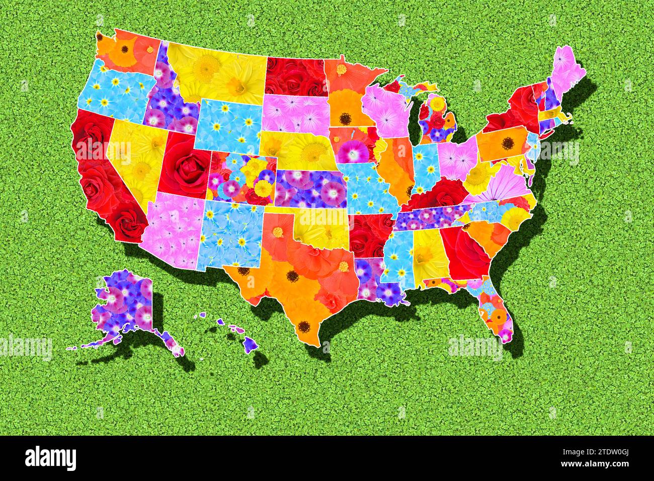 Gli Stati Uniti come una mappa con i singoli stati in fiori diversi, sfondo verde Foto Stock