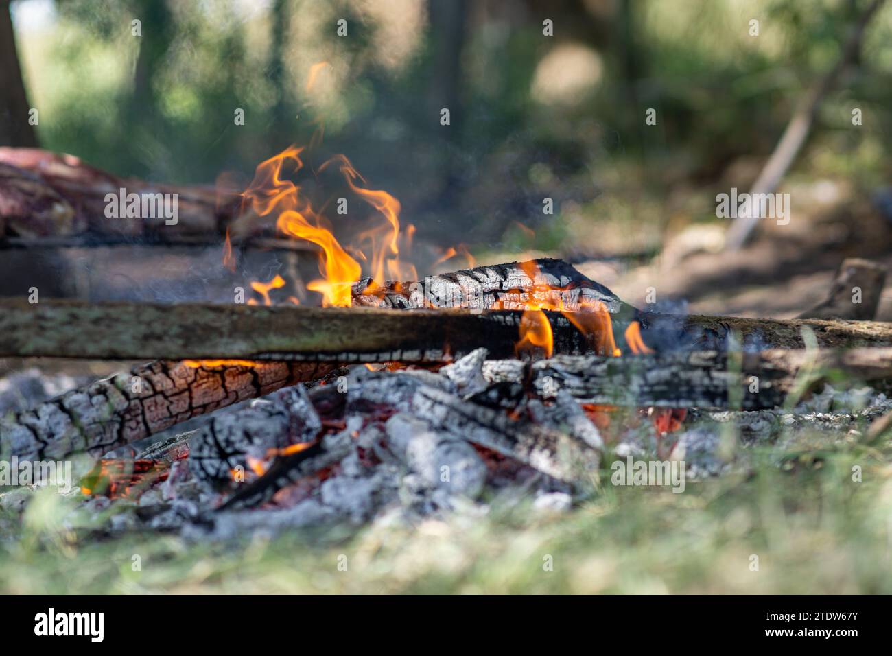 cenere da un barbecue in campagna Foto Stock