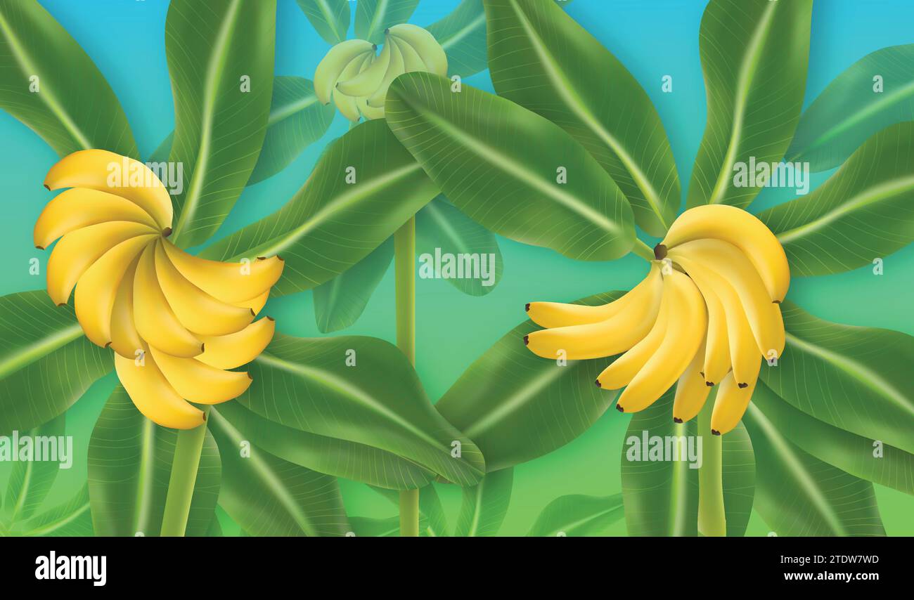 ILLUSTRAZIONE VETTORIALE DI BANANE Illustrazione Vettoriale