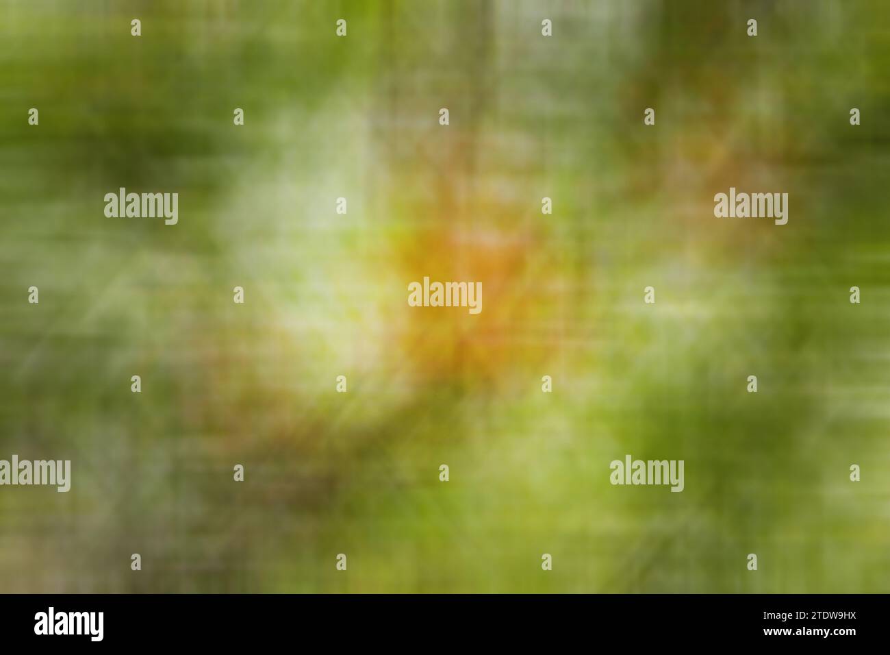 Sfondo colorato astratto, sfumature gialle e verdi si intrecciano e si illuminano. Tema ambientale. Bokeh Foto Stock