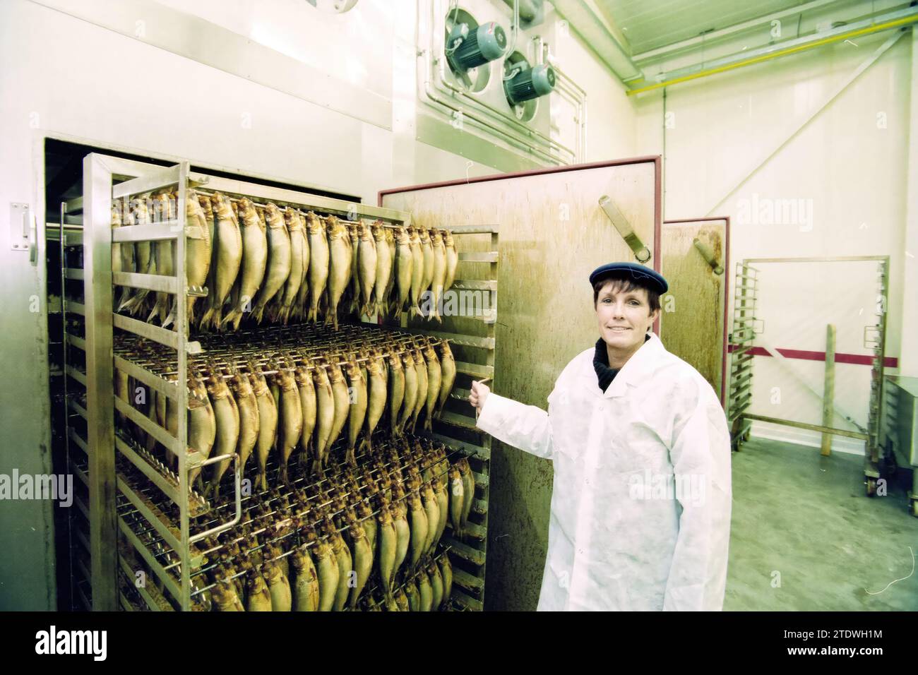 Nel Heilig, IJmuiden, IJmuiden, Paesi Bassi, 24-11-1999, Whizgle News dal passato, su misura per il futuro. Esplora le narrazioni storiche, l'immagine dell'agenzia olandese olandese con una prospettiva moderna, colmando il divario tra gli eventi di ieri e quelli di domani. Un viaggio senza tempo che delinea le storie che plasmano il nostro futuro Foto Stock