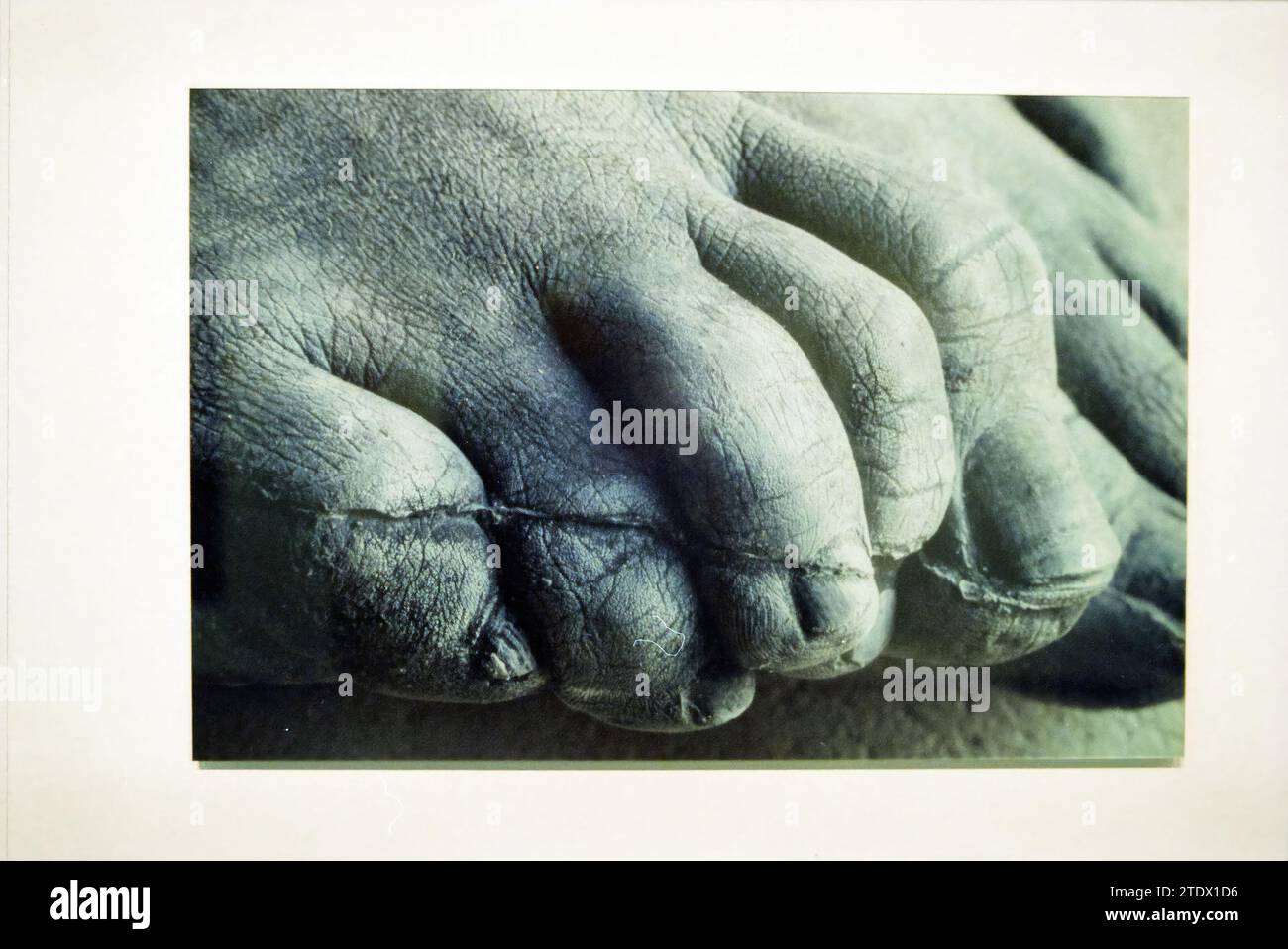 Foto: Feet A. Nibbeling, 10-03-1998, Whizgle News from the Past, su misura per il futuro. Esplora le narrazioni storiche, l'immagine dell'agenzia olandese olandese con una prospettiva moderna, colmando il divario tra gli eventi di ieri e quelli di domani. Un viaggio senza tempo che delinea le storie che plasmano il nostro futuro Foto Stock