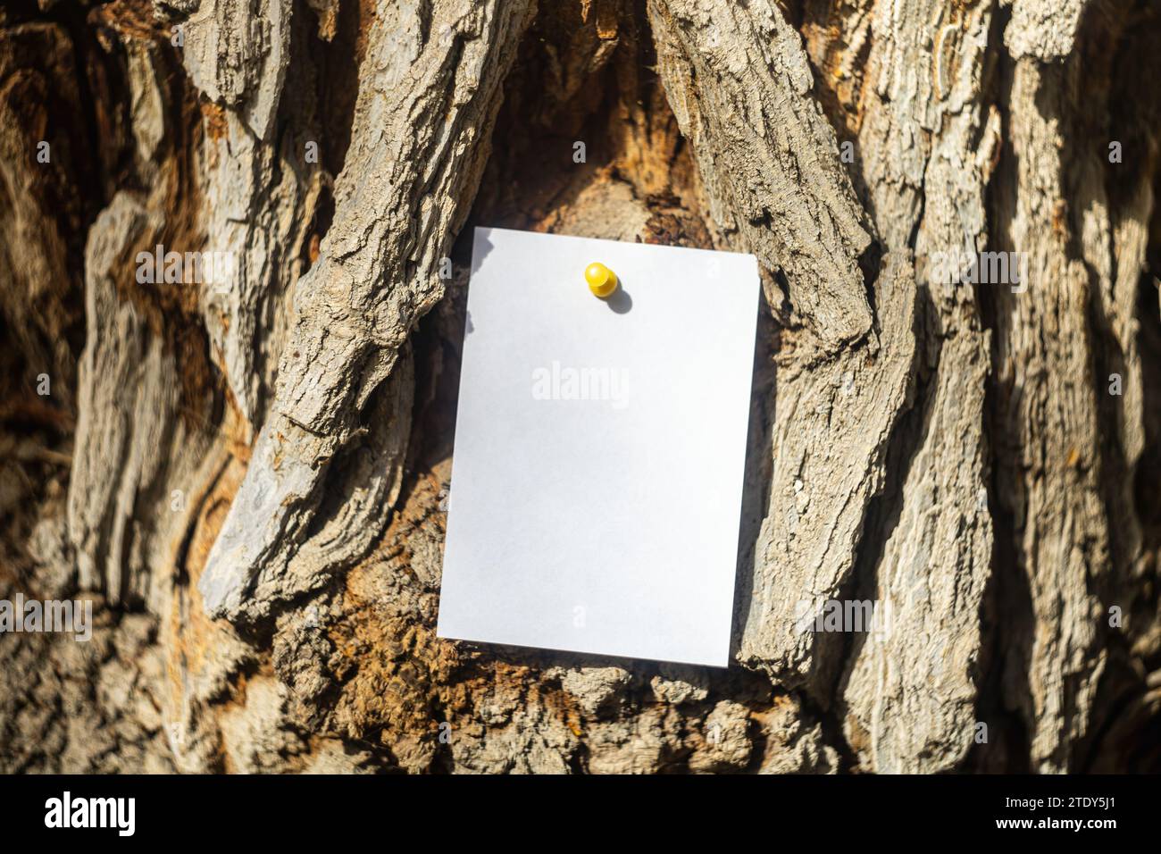 Sfondo con carta mockup per nota o messaggio. Foto Stock