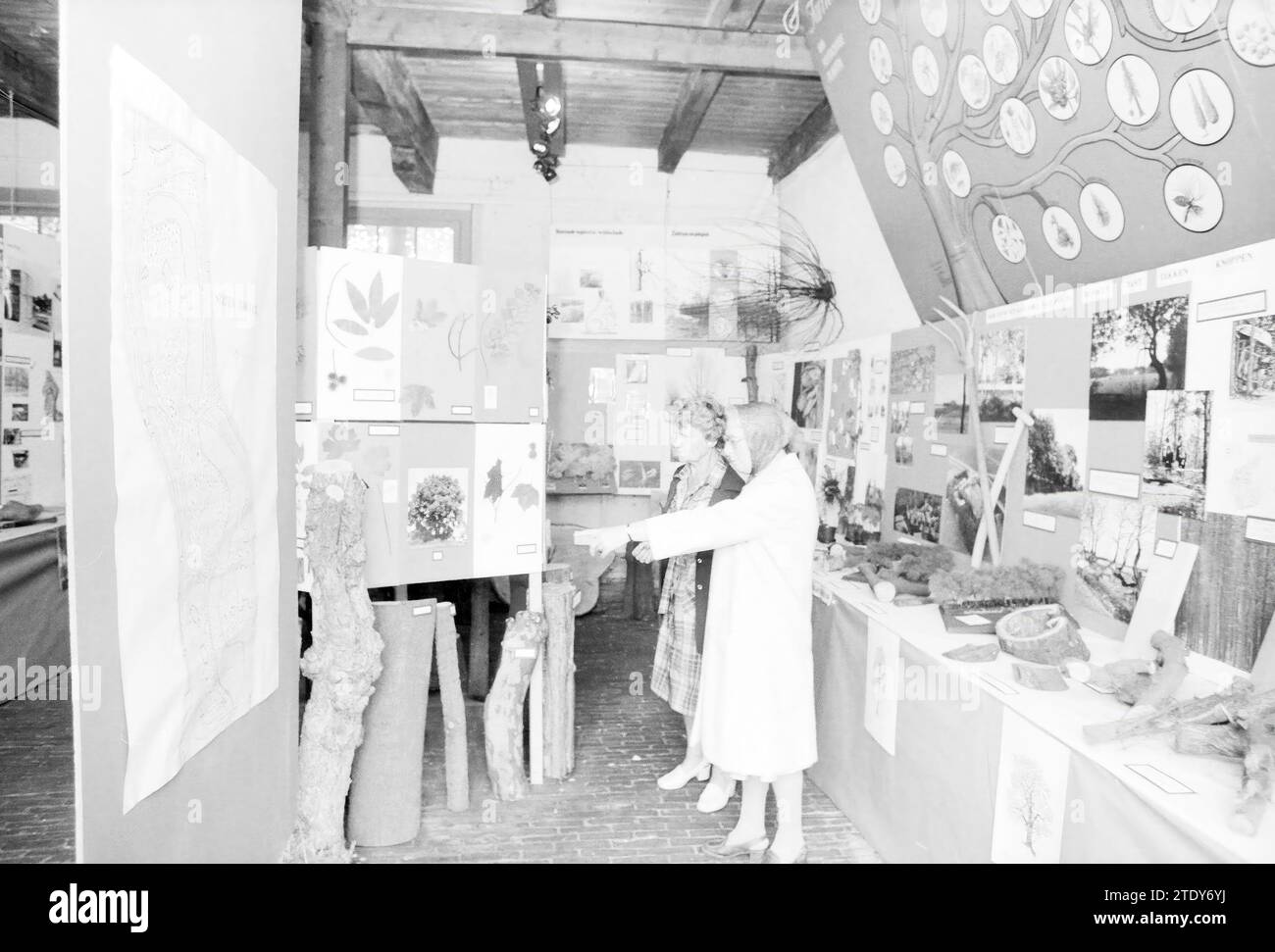 Mostra a Hout e giardini pubblici, giardini pubblici, piante, arbusti, heisters, 19-07-1978, Whizgle News from the Past, su misura per il futuro. Esplora le narrazioni storiche, l'immagine dell'agenzia olandese olandese con una prospettiva moderna, colmando il divario tra gli eventi di ieri e quelli di domani. Un viaggio senza tempo che delinea le storie che plasmano il nostro futuro. Foto Stock Mostra a Hout e giardini pubblici, giardini pubblici, piante, arbusti, heisters, 19-07-1978, Whizgle News from the Past, su misura per il futuro. Esplora le narrazioni storiche, l'immagine dell'agenzia olandese olandese con una prospettiva moderna, colmando il divario tra gli eventi di ieri e quelli di domani. Un viaggio senza tempo che delinea le storie che plasmano il nostro futuro. Foto Stock