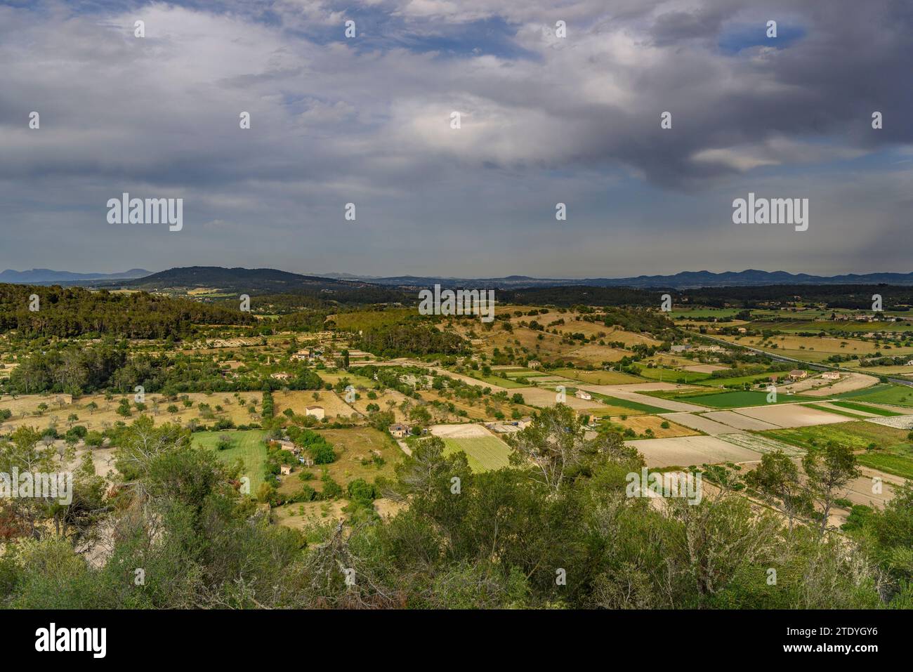 Campi e tenute rurali visti dalla cima del Puig de Sant Miquel in un pomeriggio primaverile (Maiorca, Isole Baleari, Spagna) Foto Stock