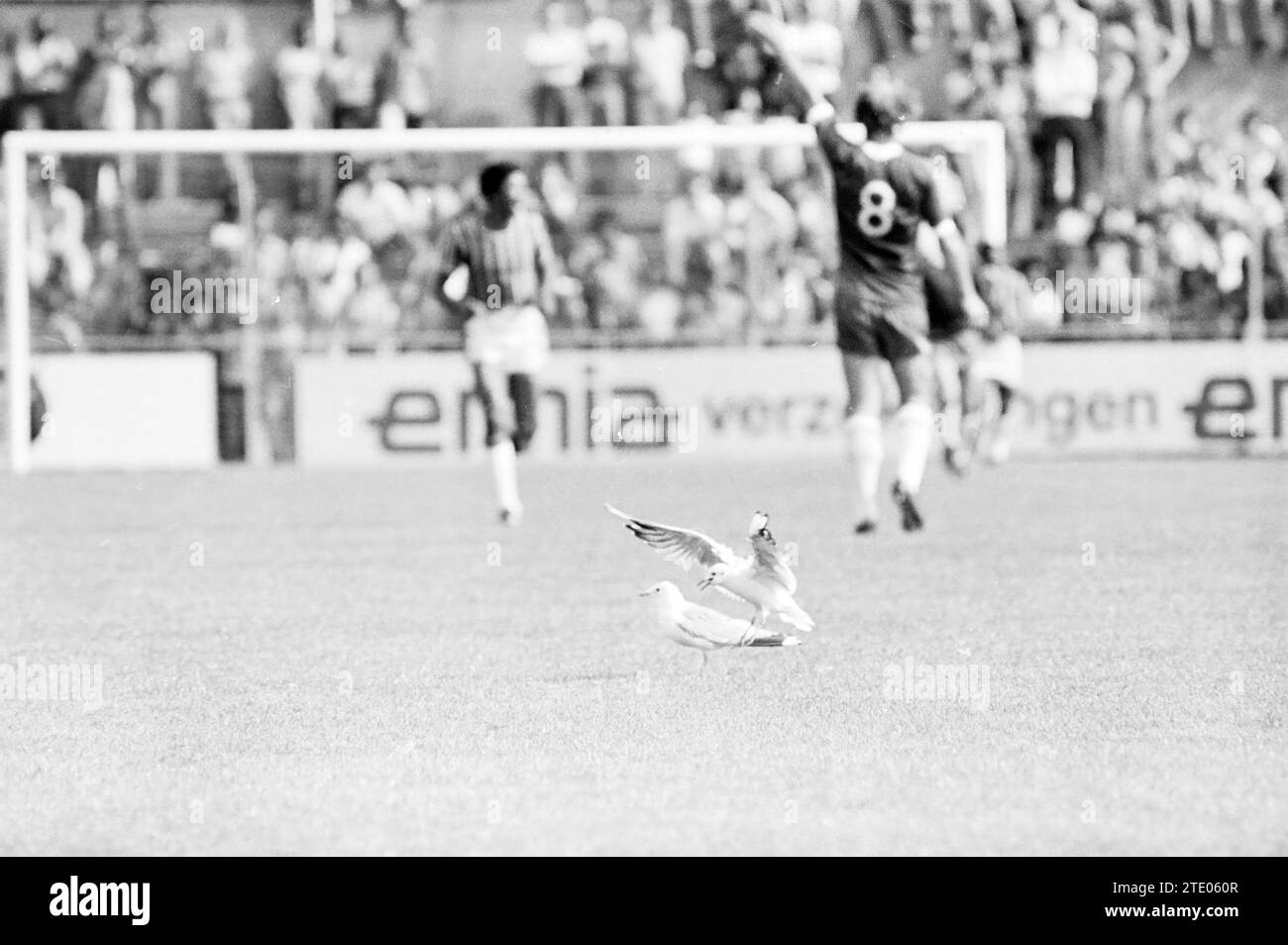 Haarlem - Robin Hood, Football Haarlem, 15-08-1976, Whizgle News from the Past, su misura per il futuro. Esplora le narrazioni storiche, l'immagine dell'agenzia olandese olandese con una prospettiva moderna, colmando il divario tra gli eventi di ieri e quelli di domani. Un viaggio senza tempo che delinea le storie che plasmano il nostro futuro. Foto Stock