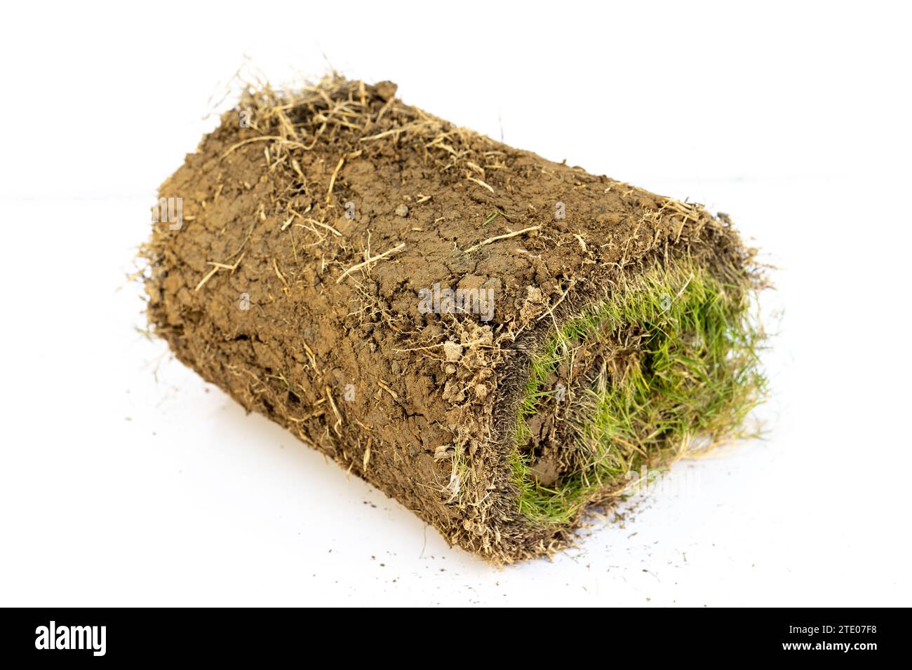 Un pezzo di erba verde isolato su sfondo bianco Foto Stock