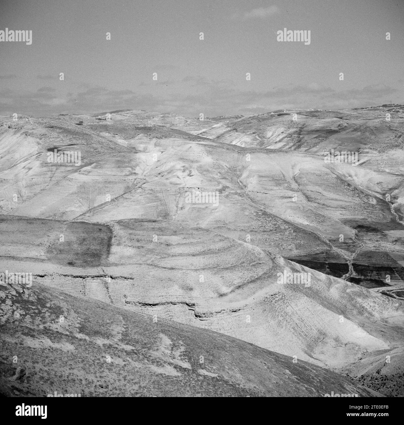 Nel deserto della Giudea, ca. 1950-1955 Foto Stock