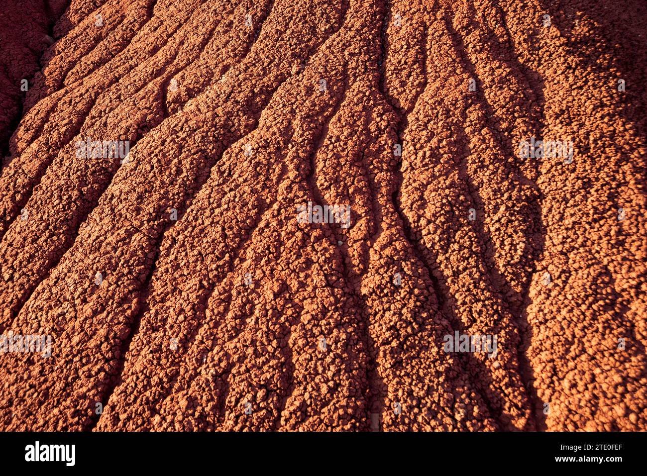 Mostra da vicino il Crimson Red Ground presso il Painted Hills Unit of John Day Fossil Beds National Monument Foto Stock