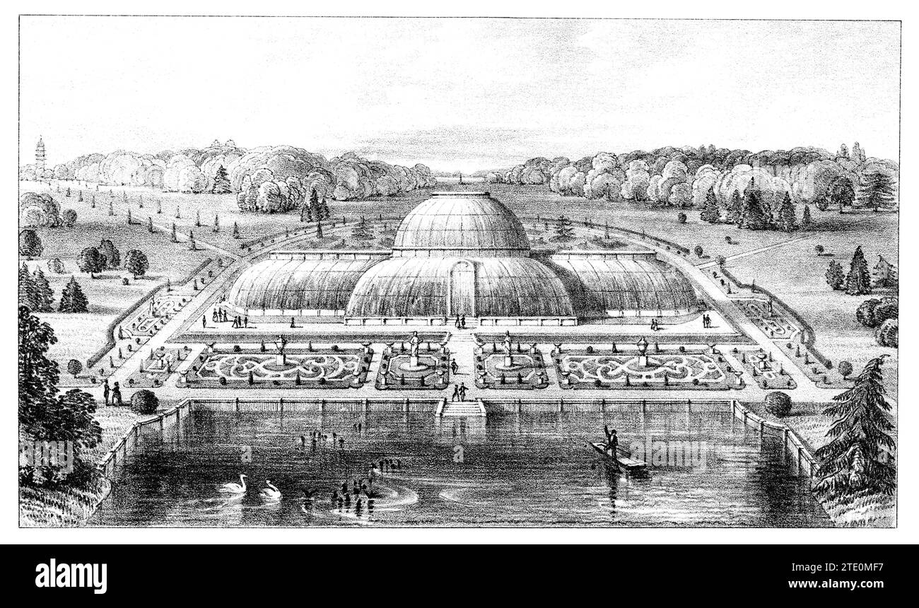 Incisione vintage del 1854 del Great Conservatory, o Palm House, and Ground at Kew Gardens, Londra, Inghilterra. Foto Stock