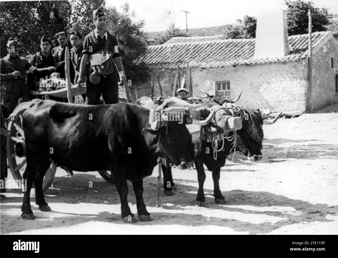 09/30/1936. Trasporto dei feriti nei carri, nella città di Peguerinos (Ávila). Crediti: Album / Archivo ABC / Alfonso Foto Stock