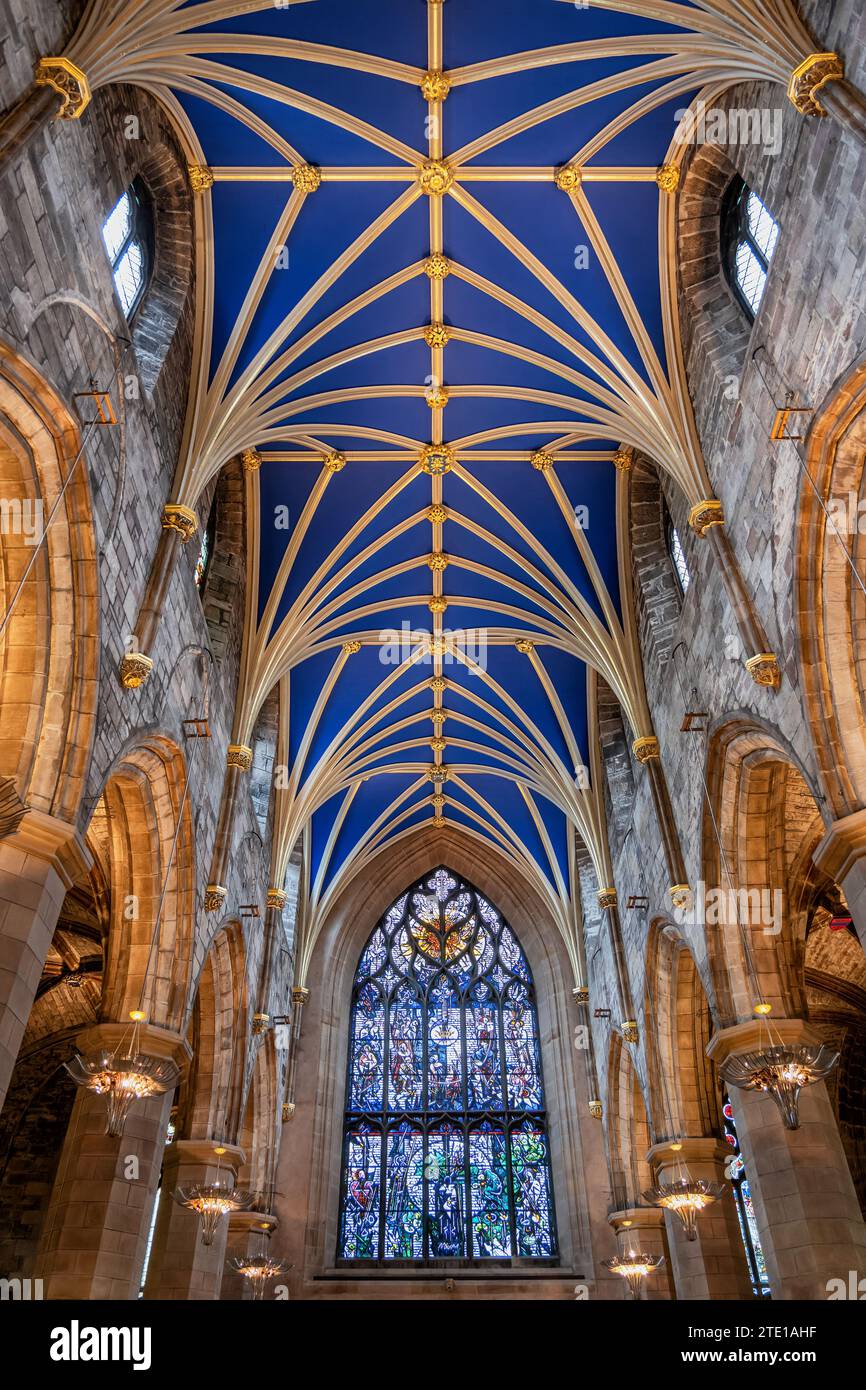 Tierceron Rib volta in St. Interno della cattedrale di Giles a Edimburgo, Scozia, Regno Unito. Soffitto a volta con costole dorate e intonaco blu in ali parrocchiali Foto Stock