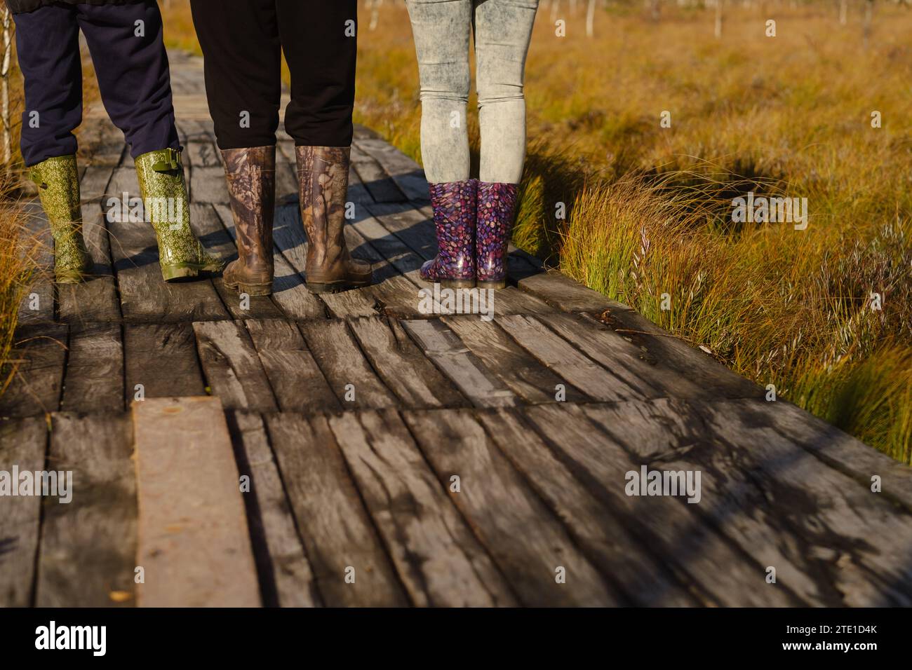 La gente con gli stivali cammina lungo un sentiero di legno in una palude a Yelnya, Bielorussia. Foto Stock