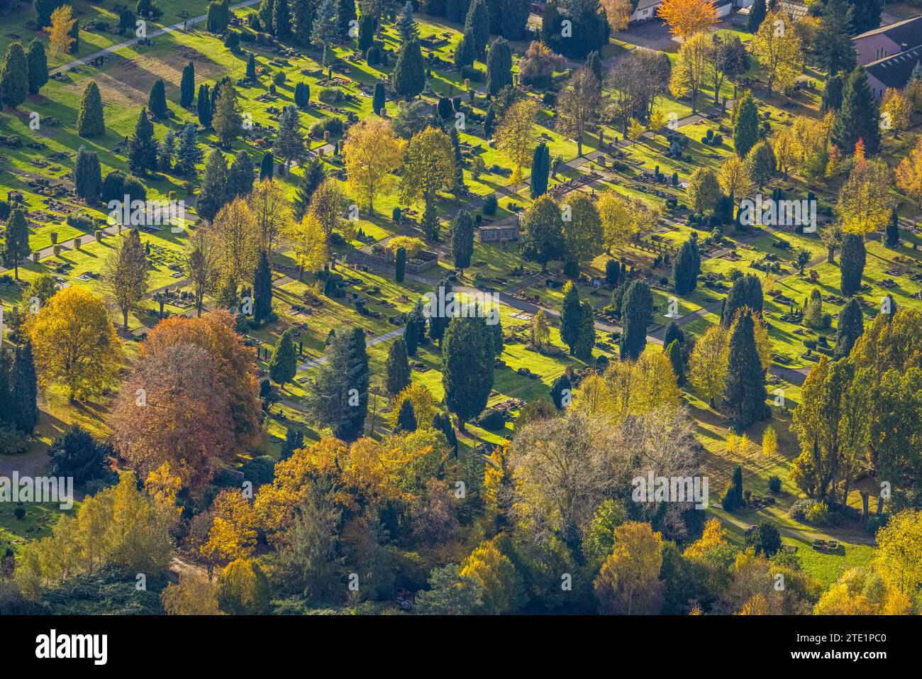 Veduta aerea, cimitero protestante e tombe delle urne columbarium, alberi di tasso di cipresso e alberi decidui alla luce notturna autunnale, Pferdebachstraß Foto Stock