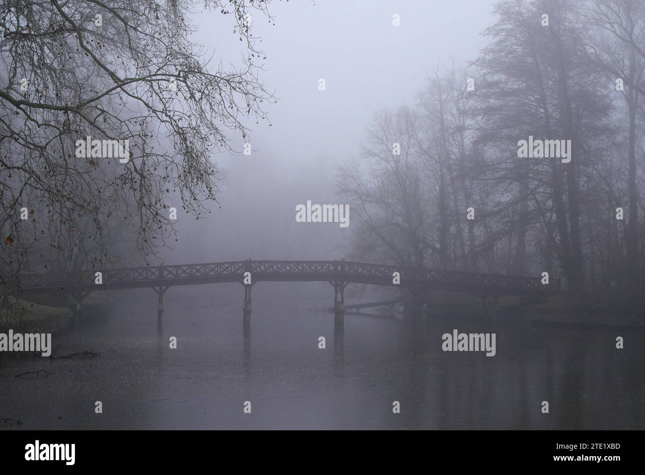 Passerella per l'isola sul lago nel giardino inglese della residenza Brunswick, in una fredda giornata nebbia d'inverno, Martonvasar, Ungheria Foto Stock