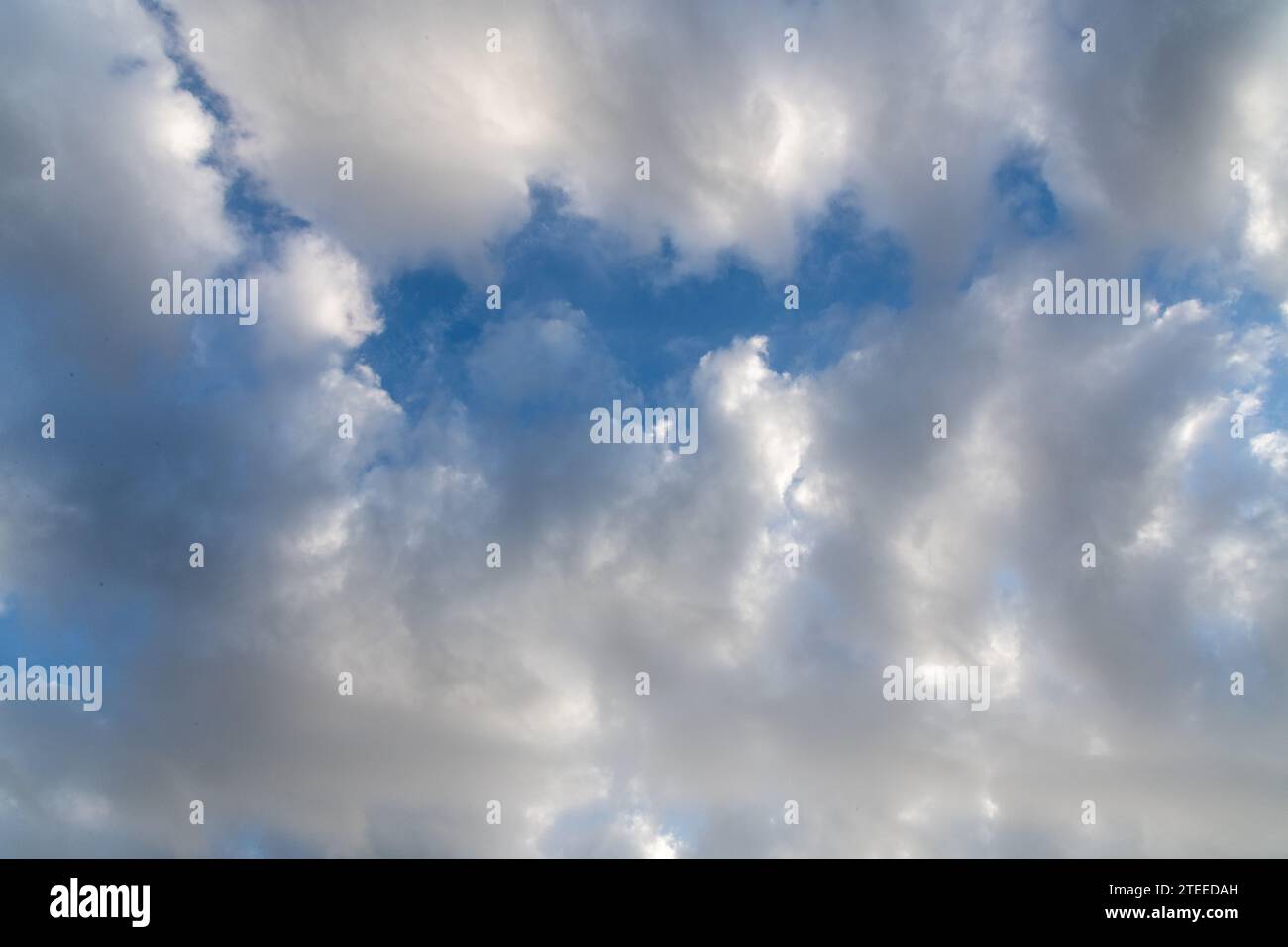 Nuvole chiare e scure contro un cielo blu. Foto Stock