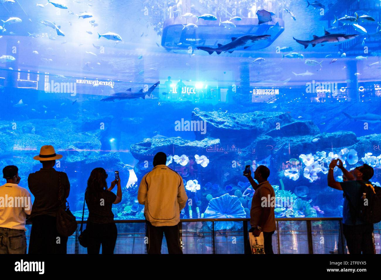 Dubai, Emirati Arabi Uniti. 7 dicembre 2023. I visitatori guardano i pesci selvatici in un acquario situato nel Dubai Mall, con riflessi delle vetrine dei negozi sul vetro dell'acquario nel centro di Dubai. COP28, in programma dal 30 novembre al 12 dicembre, si concentra su come particolari nazioni hanno gestito la realizzazione dei suoi obiettivi climatici. La Conferenza di Dubai si concentra anche sulle comunità più vulnerabili e sul Fondo per perdite e danni. Credito: SOPA Images Limited/Alamy Live News Foto Stock