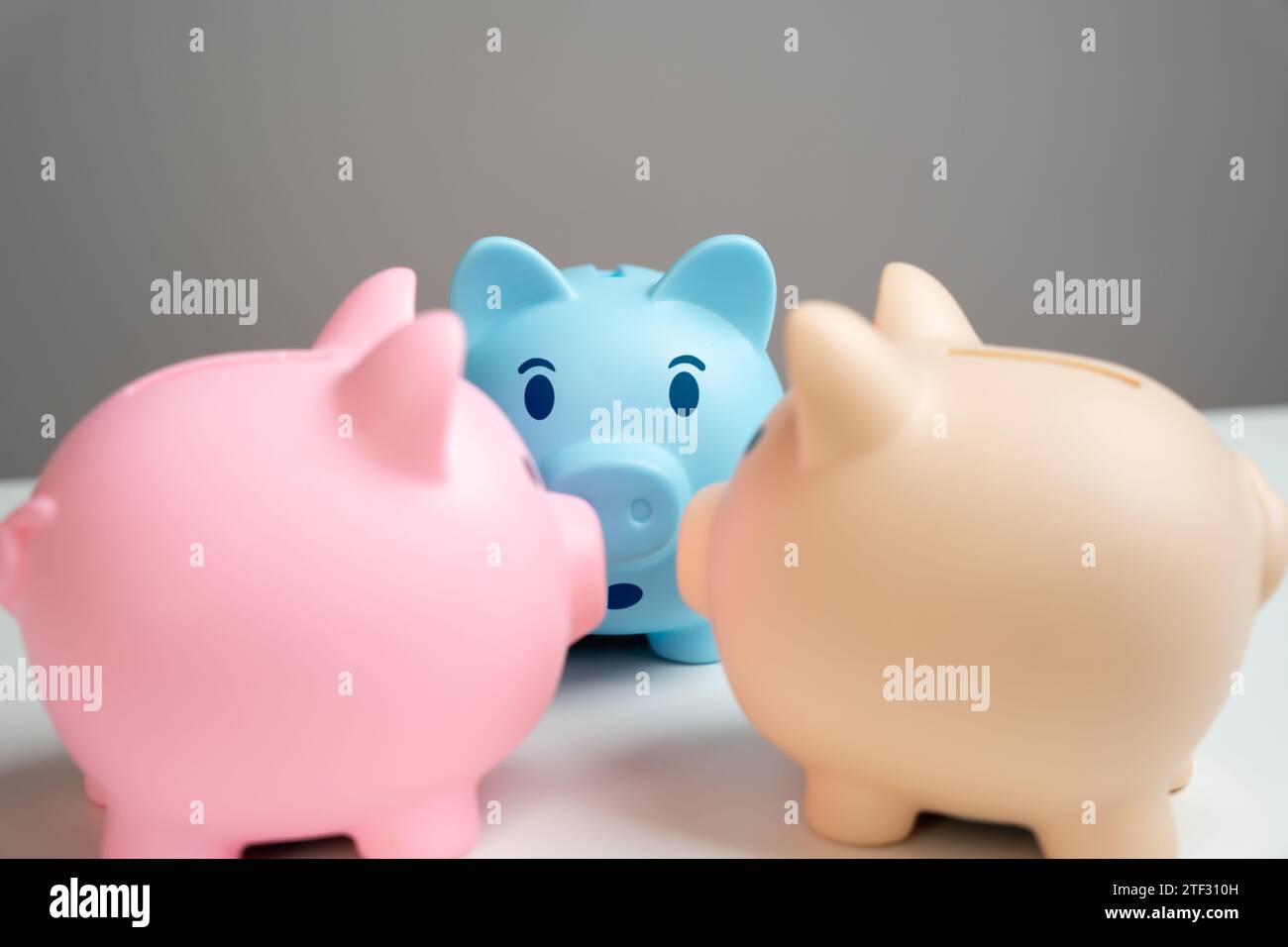 Pettegolezzi di maiali. Notizie ed eventi nell'economia. Rimborsi e guadagni. Depositi e risparmi. Opportunità nascoste e hack di vita nel settore bancario A. Foto Stock