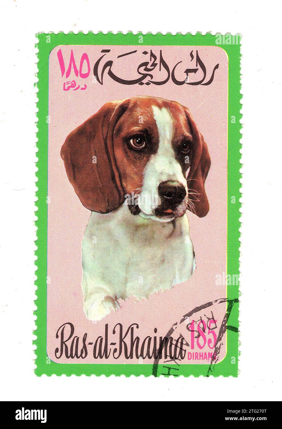 Francobollo vintage di Ras al Khaima con un cane isolato su uno sfondo bianco. Foto Stock